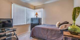 PRE-LEASING for AUGUST Move in - Recently Remodeled 4/2/1 near Texas Tech Gallery 14