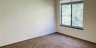 27657 Peninsula Gallery 20