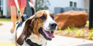 Ryder Junction Gallery 4