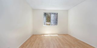 Versailles Gallery 11