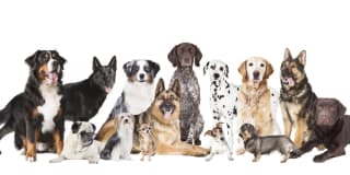 3 Journal Square Gallery 40