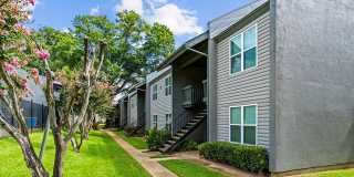 The Dodson Gallery 12