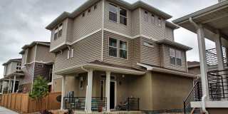 5 bed 3.5 bath home in the Meadows Gallery 1