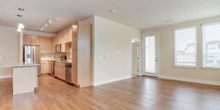 Element 47 by Windsor Gallery 10