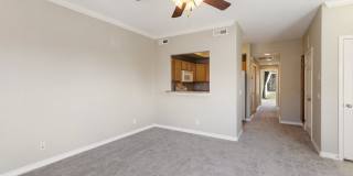 Immaculate 2 Bed 2 Bath Condo with Pikes Peak Views in D49!!! Gallery 11