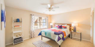 The Whitley Apartments The Whitley Apartments Gallery 8