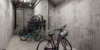 Hollis Oak Gallery 18