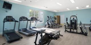 Marley Manor Luxury Apartment Homes Gallery 48