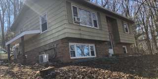 Newly Renovated Apartment for Rent Newly Renovated Apartment for Rent Gallery 1