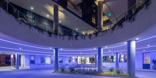 Ovelo Hollywood Gallery 27