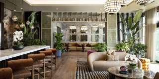 Alexan Camellia Gallery 13