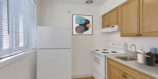 60 Corona Gallery 10