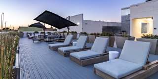 LINQ LINQ Gallery 20