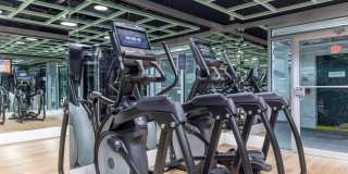 The Statesman Gallery 11