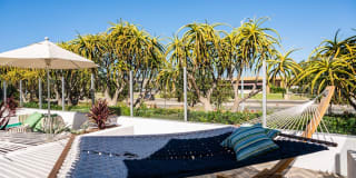 Olympus Corsair Gallery 56