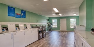 The Everett Gallery 18