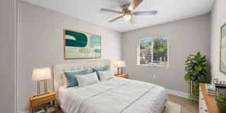 Pine Crest Gallery 4
