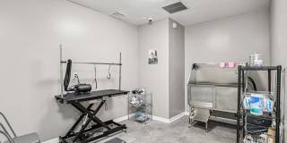 Grande Oaks Gallery 19