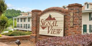 Signal View Gallery 2