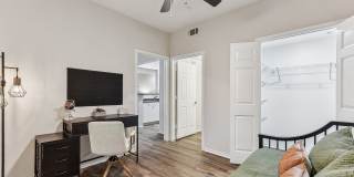 Stone Oak @ Parmer Gallery 17