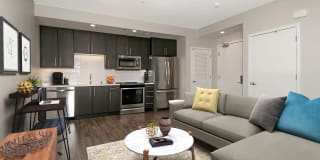 The Lex The Lex Gallery 12