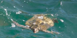 1415 Ocean Shore Blvd Gallery 29