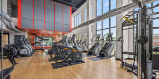 The Pioneer Gallery 66