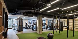 Birch House Gallery 20