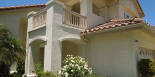 32084 Paseo Parallon Gallery 5