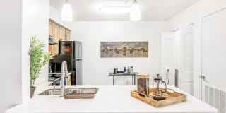 Sawyer Flats Gallery 43