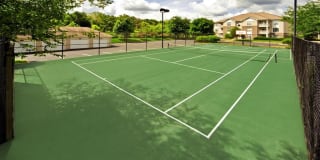 River Crossing Gallery 19