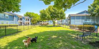 College View Apartments Gallery 38