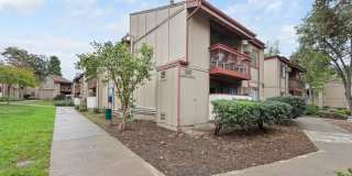 5462 Adobe Falls Rd #8 Gallery 18