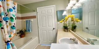 10534 WHITE LAKE COURT Gallery 12