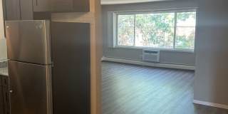 Willows on France Gallery 26