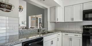272 Desert Falls Drive E Gallery 10