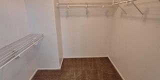 42776 W CAMINO DE JANOS Gallery 8