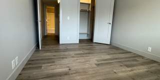 Andrew Gallery 19