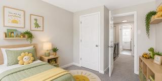 Village of Carrollwood Gallery 6