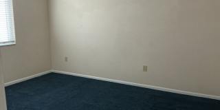 Lakeview Condo Available | Directly Across from Lake Hollingsworth Gallery 16