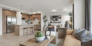 Maxwell at Bascom Maxwell at Bascom Gallery 3