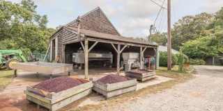 4782 Alvah's Lane Gallery 30