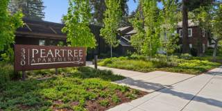 Peartree Apartments Gallery 46