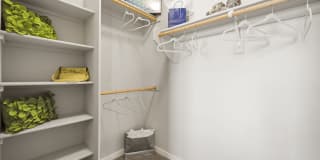 Olympus Steelyard Gallery 13