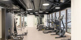 The Silva Gallery 17