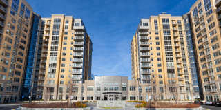 Harrison at Reston Town Center Gallery 8