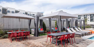 The Local Sugar Hill Gallery 20