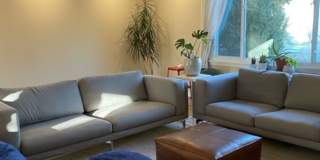 4 bed/3bath-University Elementary School/IU Health/IU Golf Course Gallery 10