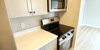 Fully Renovated 3-Bedroom Unit in Prime Ashmont Location w/ Parking Gallery 5
