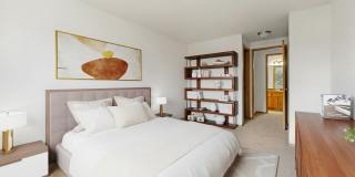Ashford Apartments Gallery 11